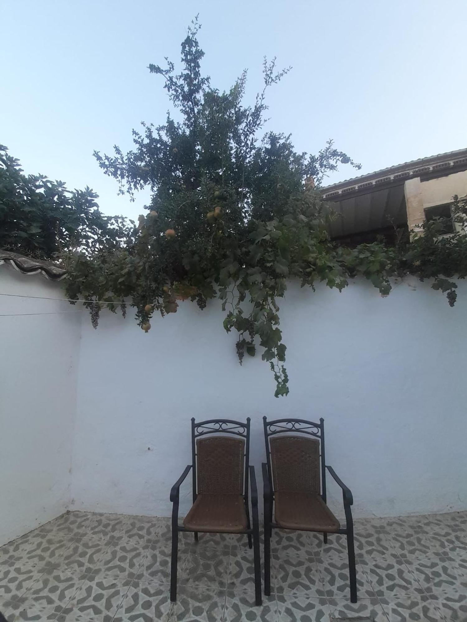Vila El Molino De Aceite Baeza Exteriér fotografie