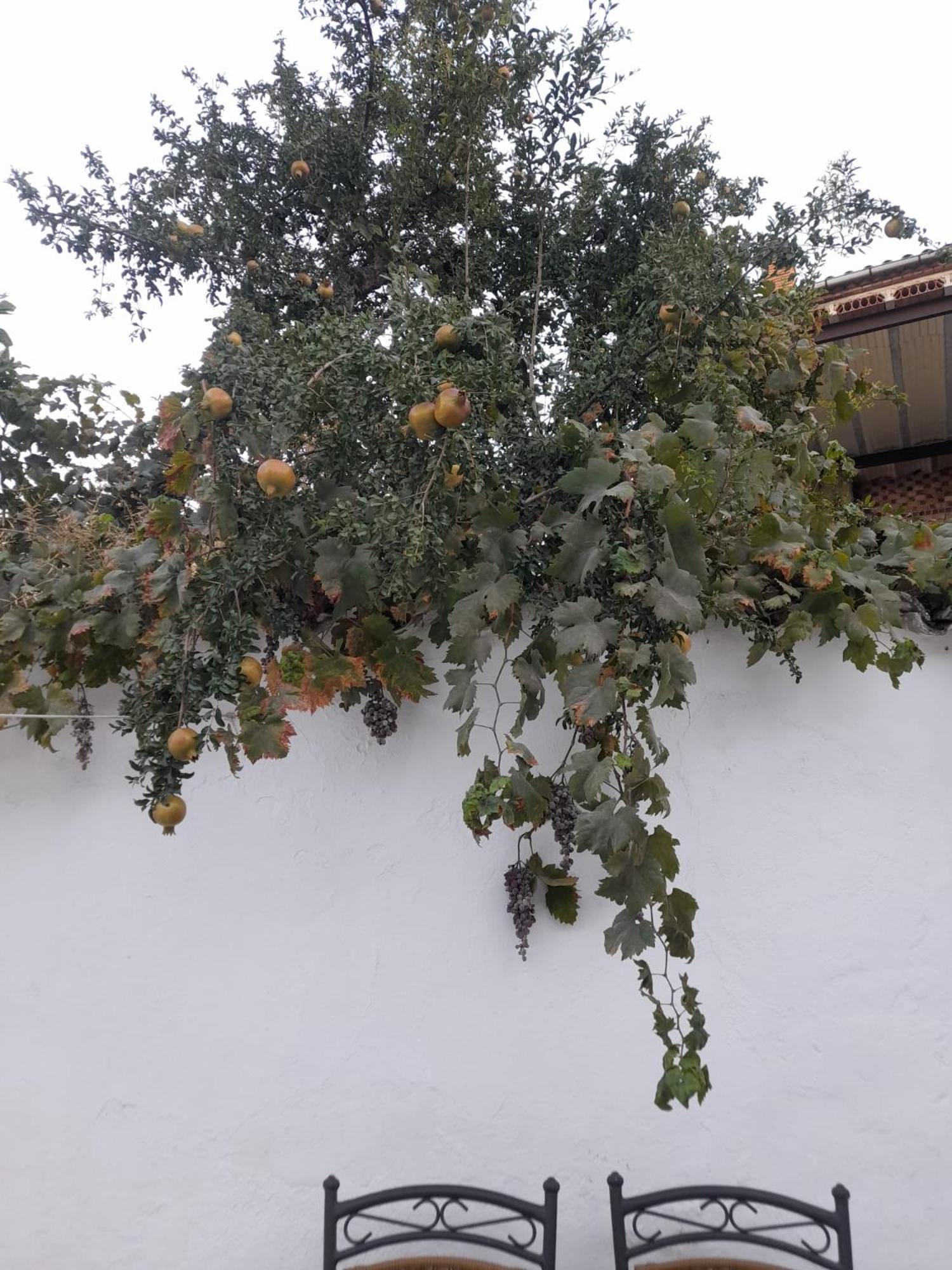Vila El Molino De Aceite Baeza Exteriér fotografie